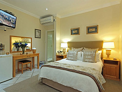 Aloe   Room