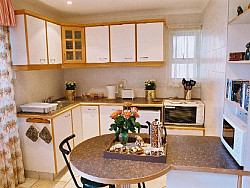 Cheetah   Kitchenette