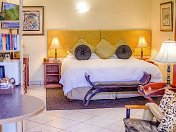 Cheetah   Room