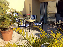 Strelitzia   Patio 2